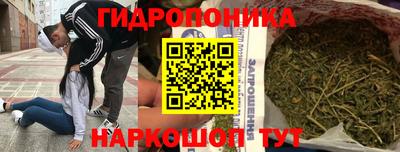 стафф Анжеро-Судженск