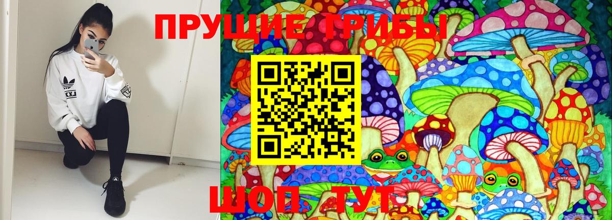 Галлюциногенные грибы Magic Shrooms  Псилоцибиновые грибы GOLDEN TEACHER  Белгород  Вход с VPN 